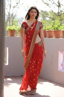 Tanvi Vyas Saree Photos